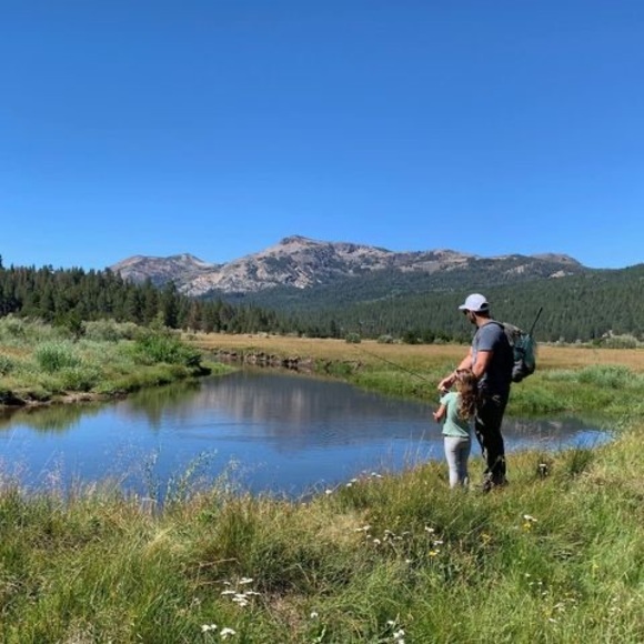 Meet your Posher, Richard - Picture 1 of 1